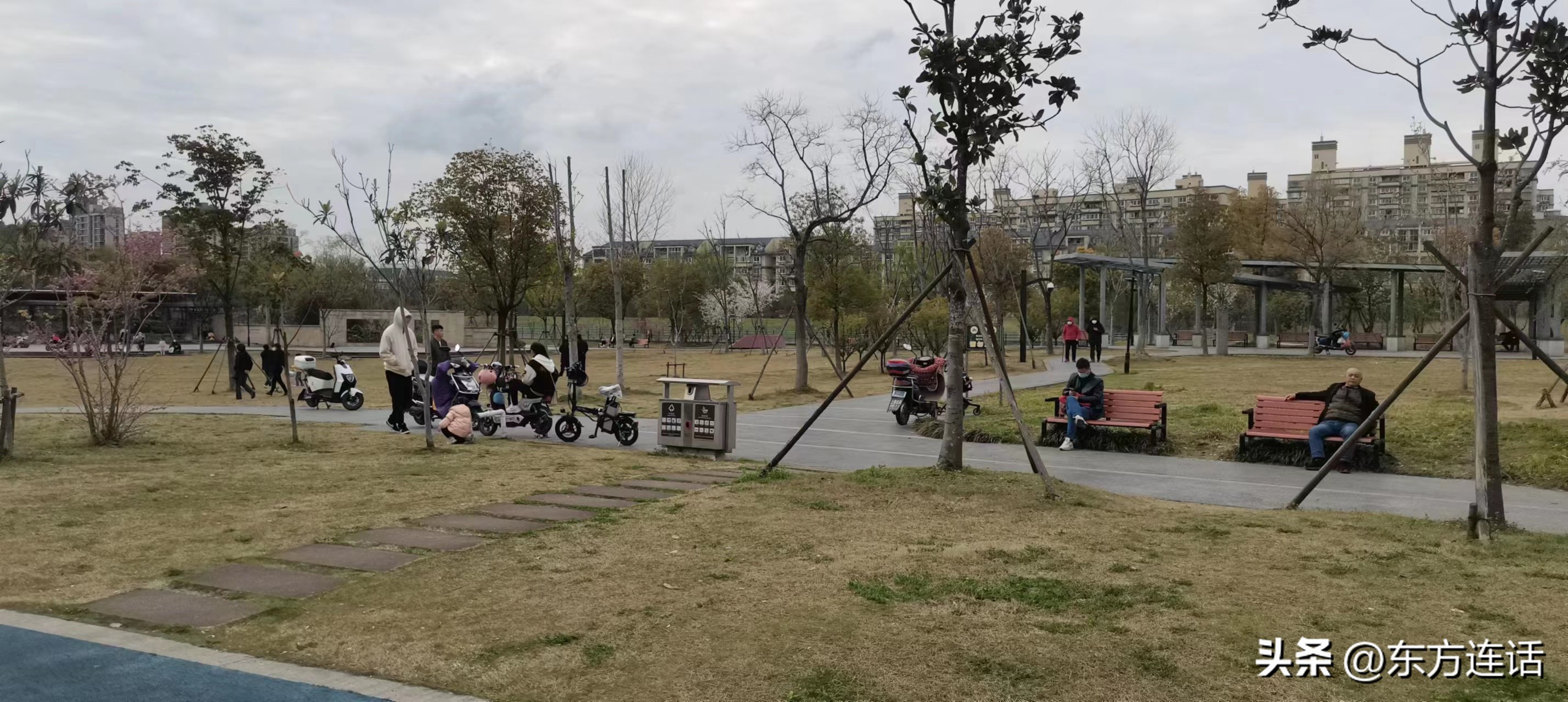 上海光启公园和徐家汇公园,上海公园和北京公园哪个多一些