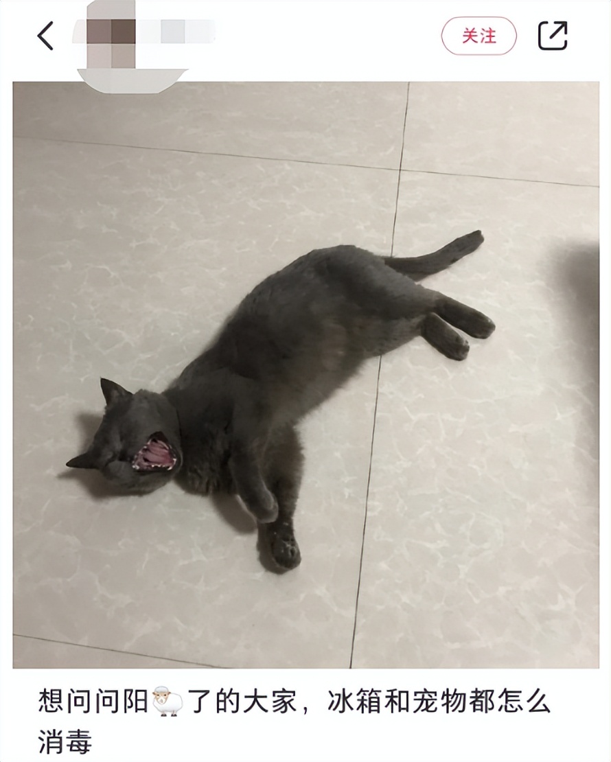 阳过之后的口红还能用吗,阳过之后口红还能用吗