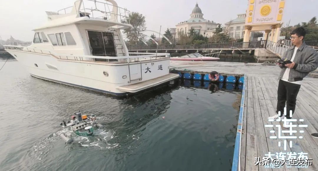 大连一座充满活力的城市,大连活力四射视频