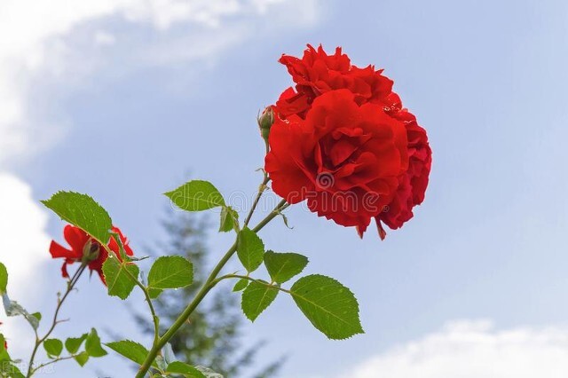 变美的50条习惯,分享40个变美的小细节