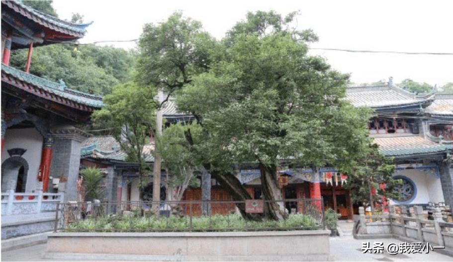 云南古建筑名单大全,云南古滇墓葬群