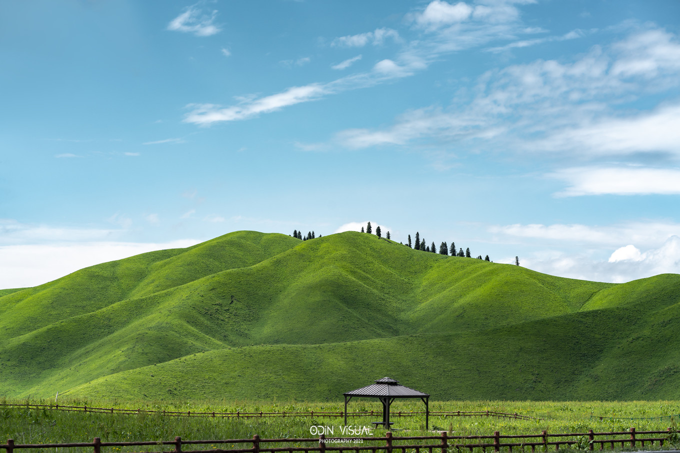 去新疆发现伊犁的美,世界之美尽在伊犁