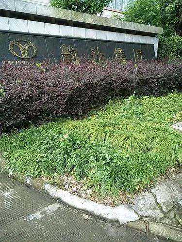 宁波韵升集团有限公司简介,宁波韵升集团