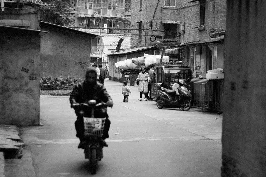 当狗有什么不好沈腾哥们爆笑全场,西虹市首富当狗有什么不好