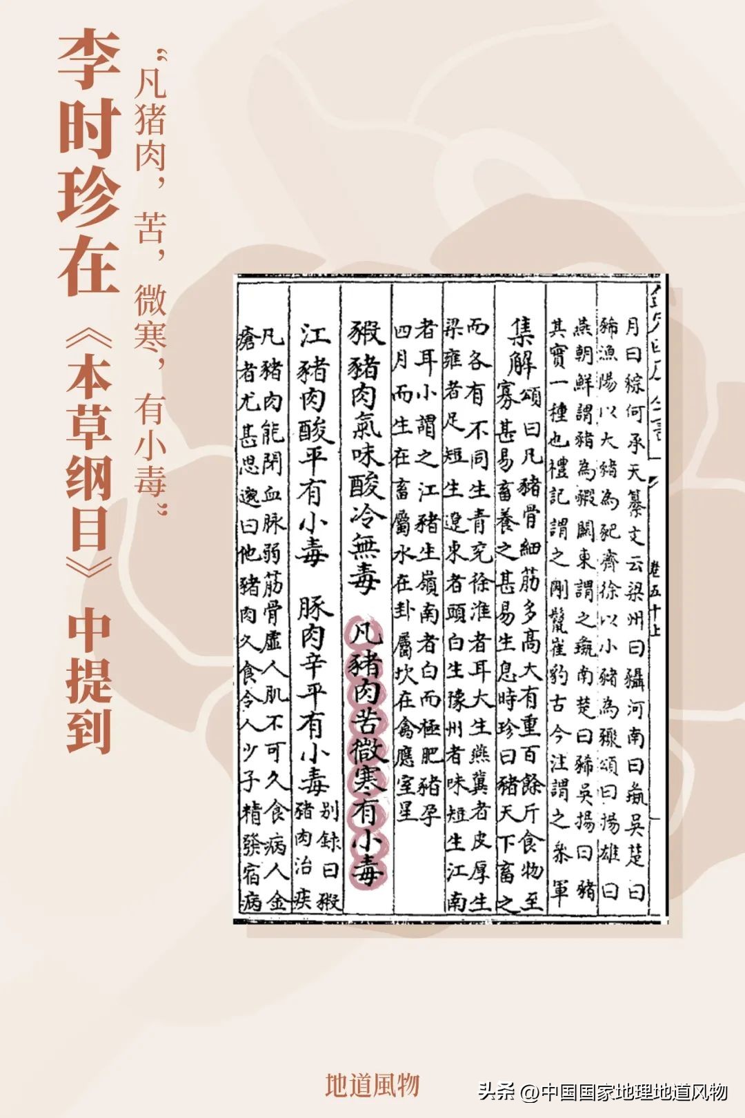 全国各地吃猪图鉴,哪个地方吃的猪最多