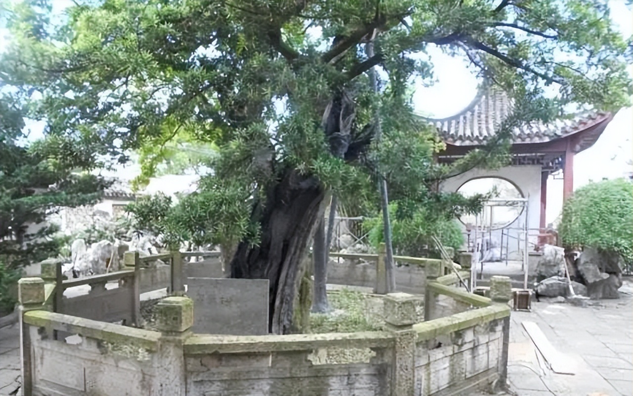上海古镇十大必去景点旅游攻略,上海附近古镇旅游景点大全排名