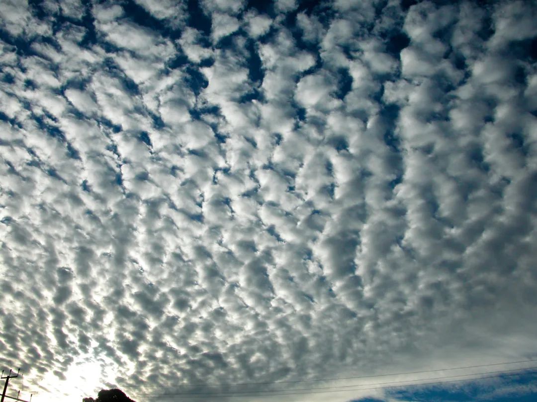 赏云协会入会多少钱,赏云协会怎么加入