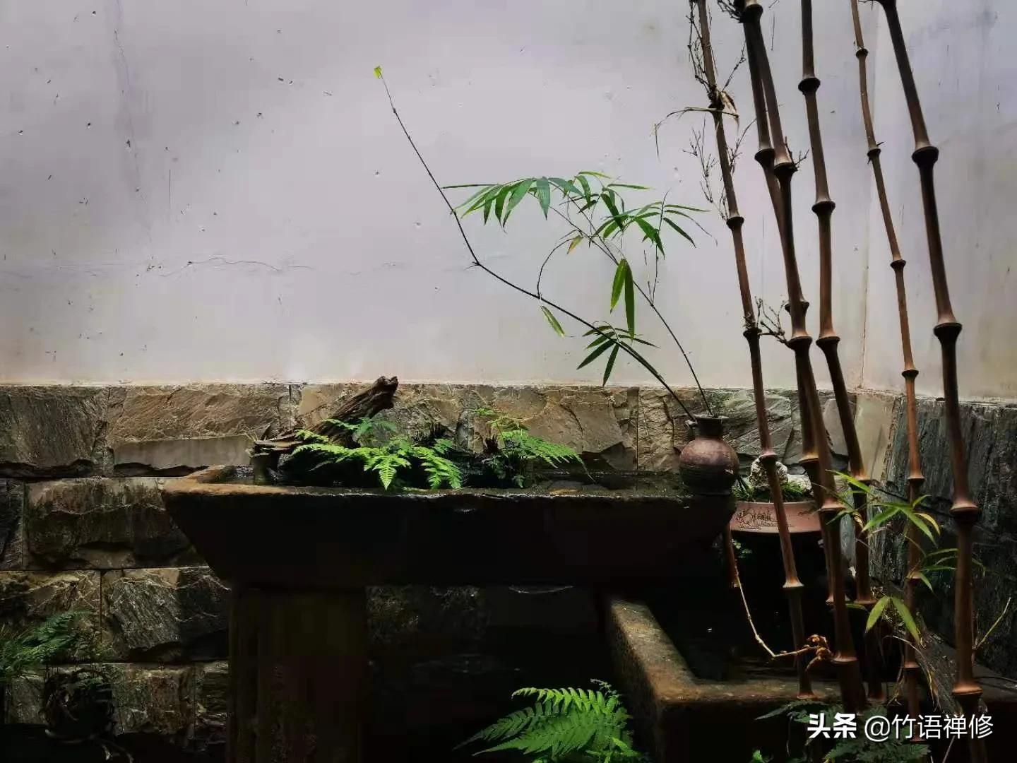 退休后理想中的农家小院,建一个小院过悠闲生活