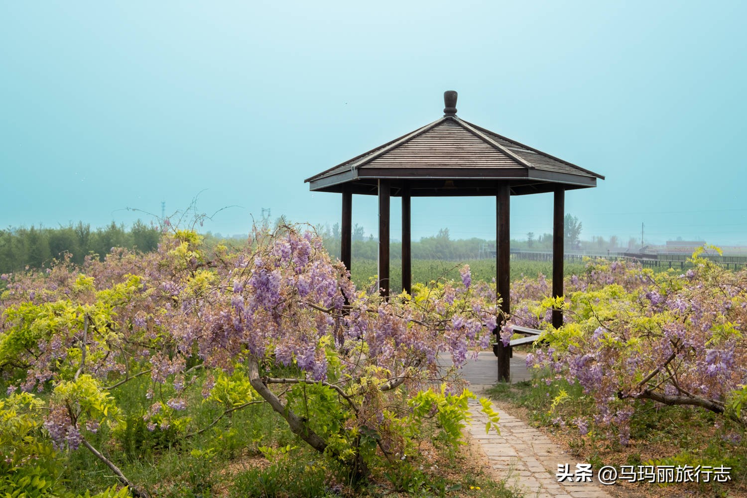 宿州到底有多好耍,宿州世外桃源好去处