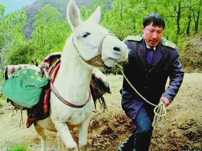 邮政都开始卖奶茶了吗,中国邮政卖奶茶辟谣