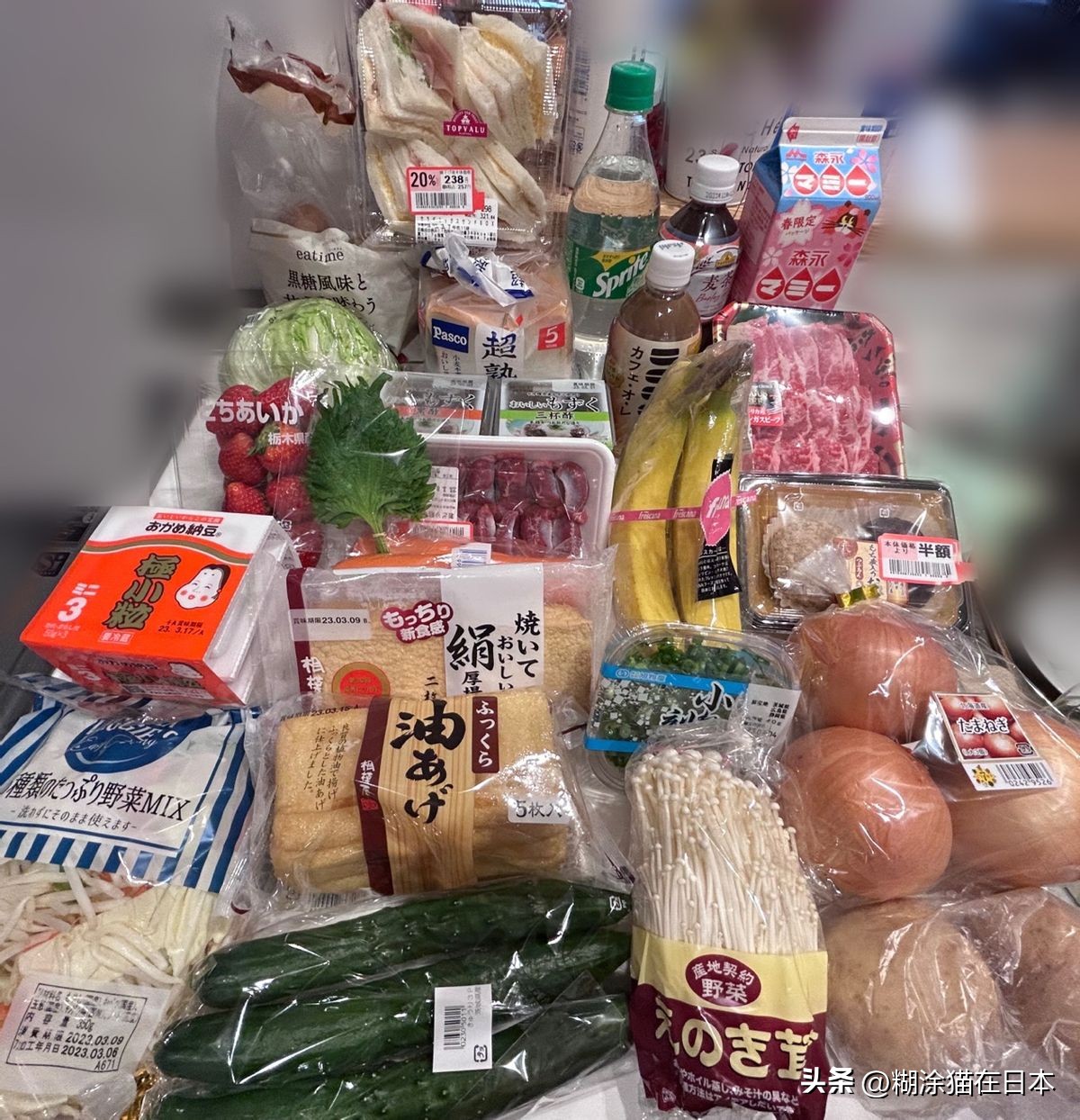 异国他乡我们迎难而上办齐日本证明手续（东京第130-140天）