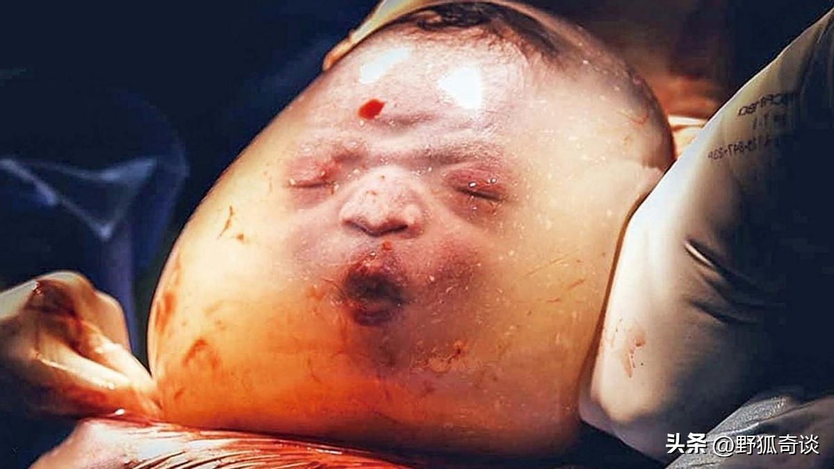 怪胎：有筋无骨徐偃王，陆地而朝者三十六国