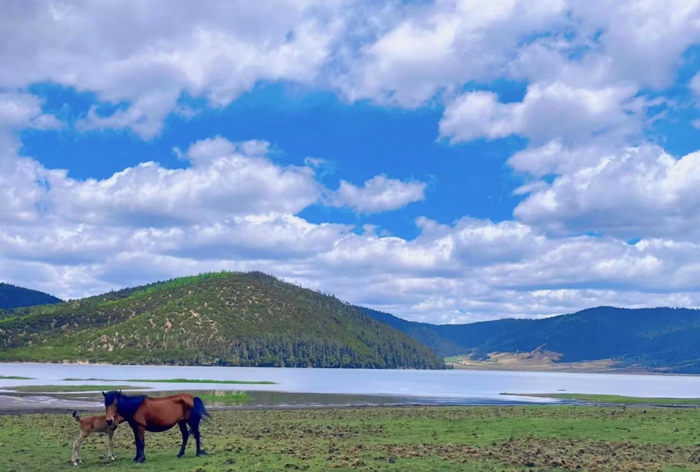 云南省四季如春之都,云南省哪个地区四季如春