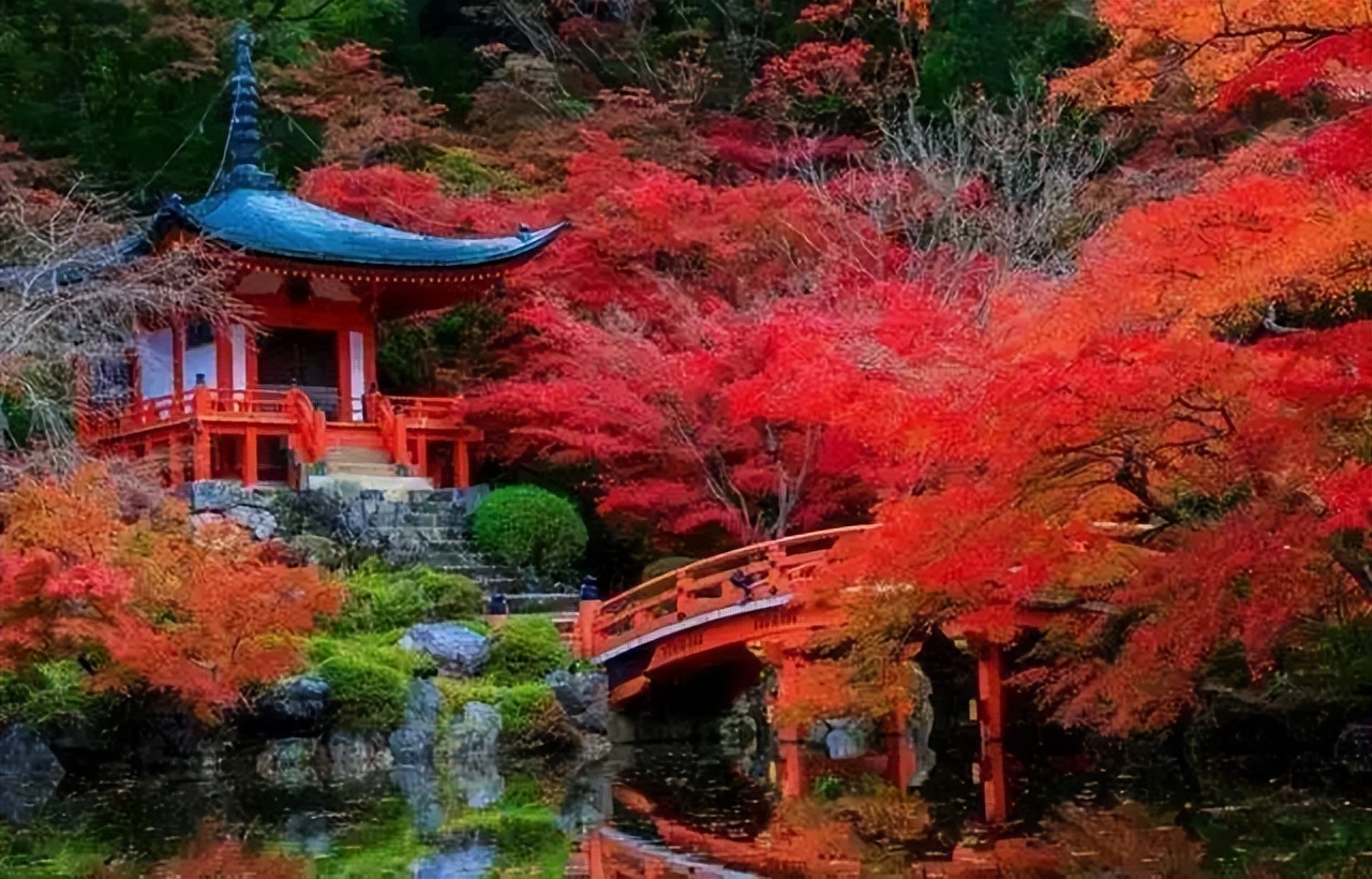 十二首立冬诗词领略冬日美好时光,立冬诗词经典短句唯美