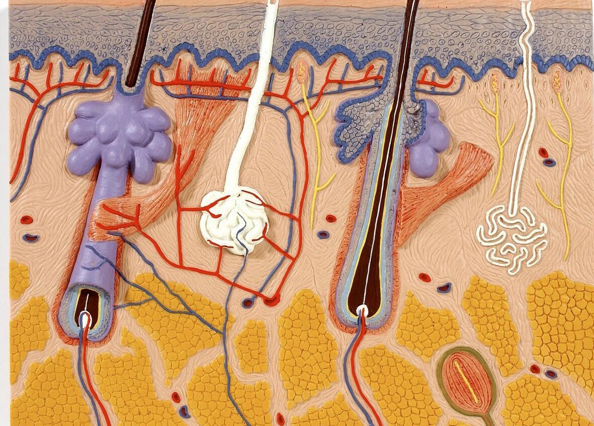 结痂的伤口，痒到怀疑人生，到底该怎么对待？看看医生怎么说