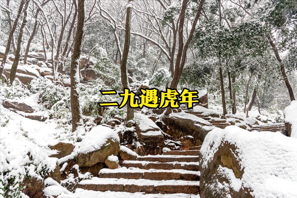 阴历二月十九天气预报,天气预报今天是二伏的第几天