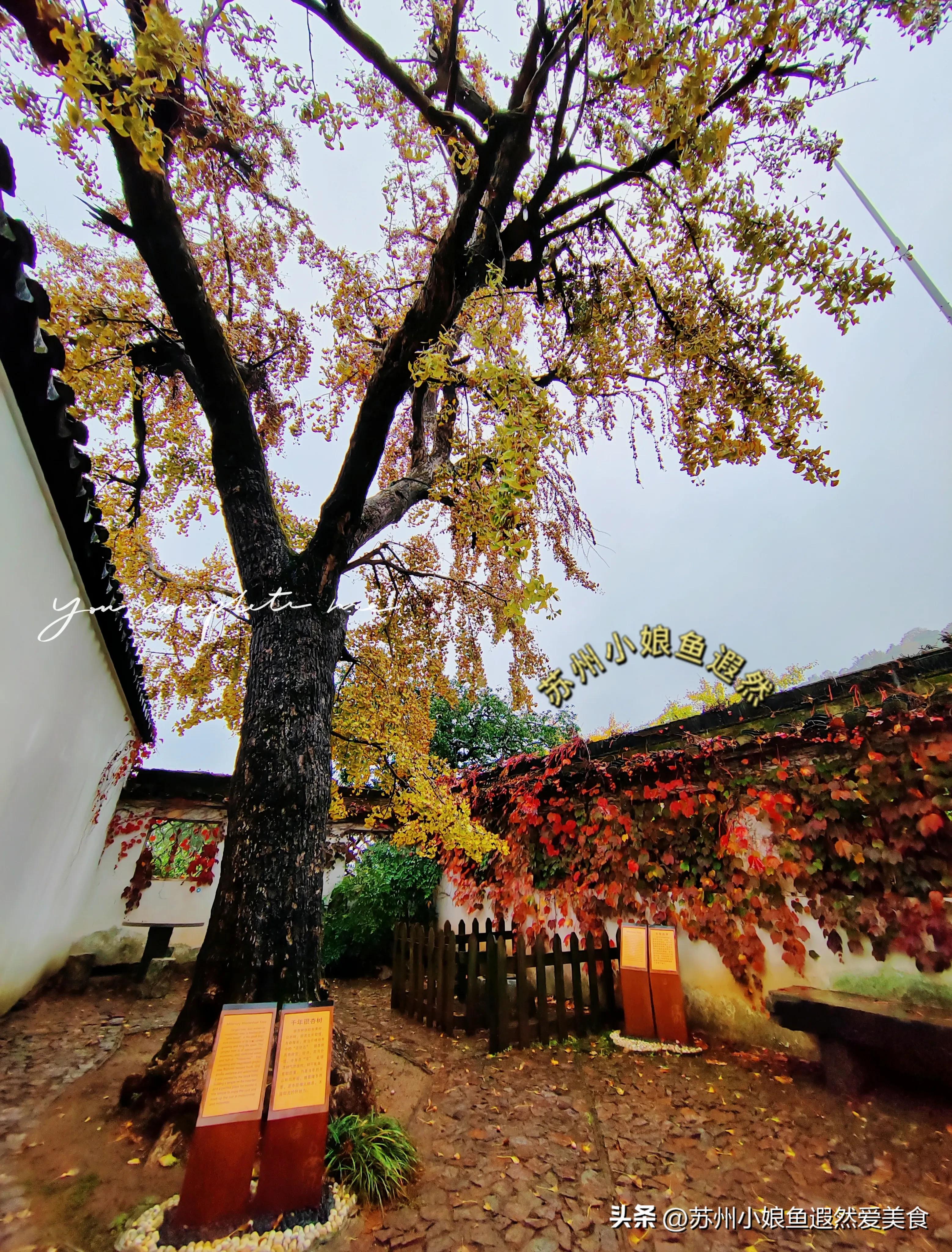 苏州一日游攻略探索更好玩的景点,苏州一日游景区推荐