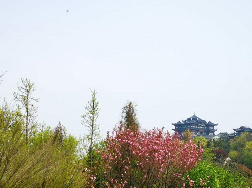 爱旅经常组织的市内登山路线，传说健康的人都去了这里......