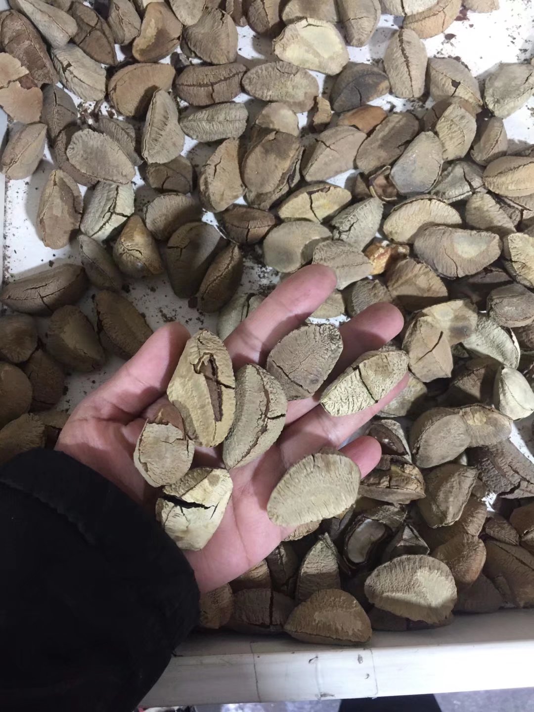 被旅馆老板娘赶，要露宿街头了（85）