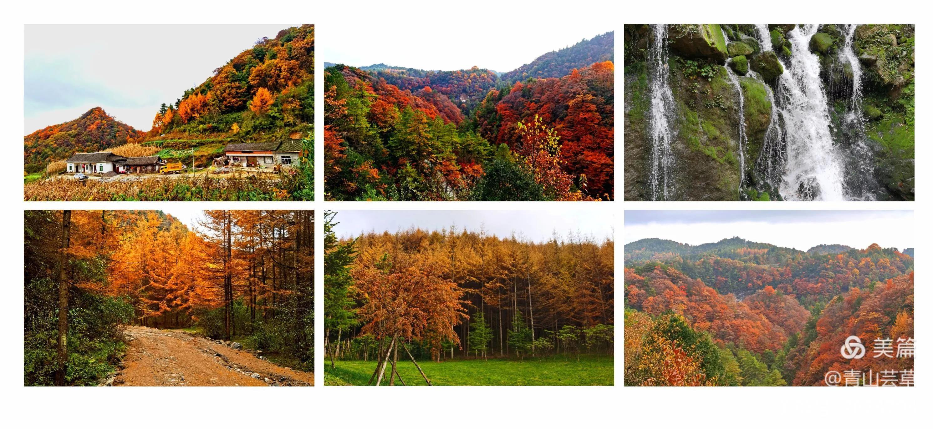 晨钟暮鼓国学,晨钟暮鼓晨读