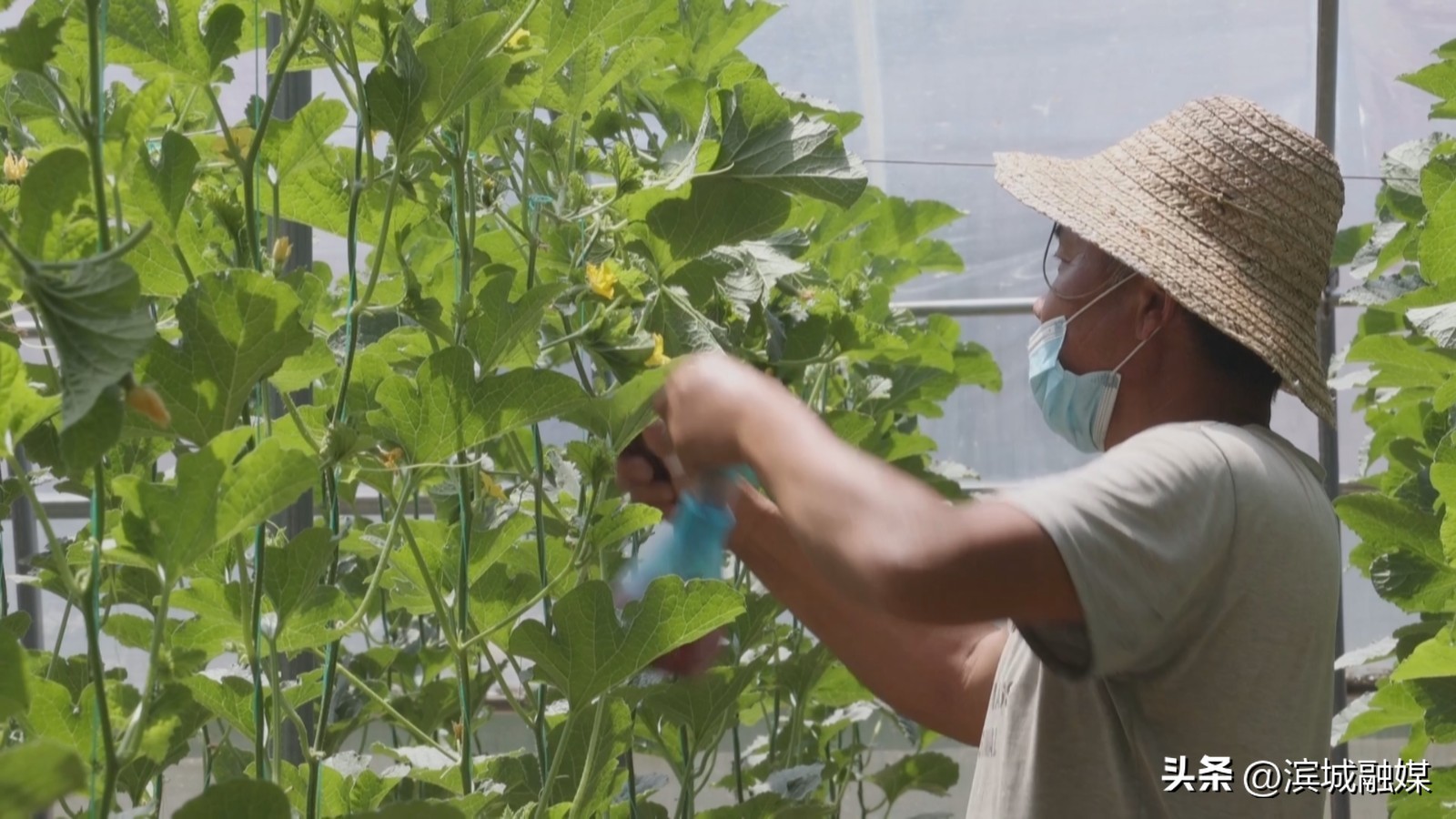 乡村振兴党建引领新做法人民日报,乡村振兴党建引领