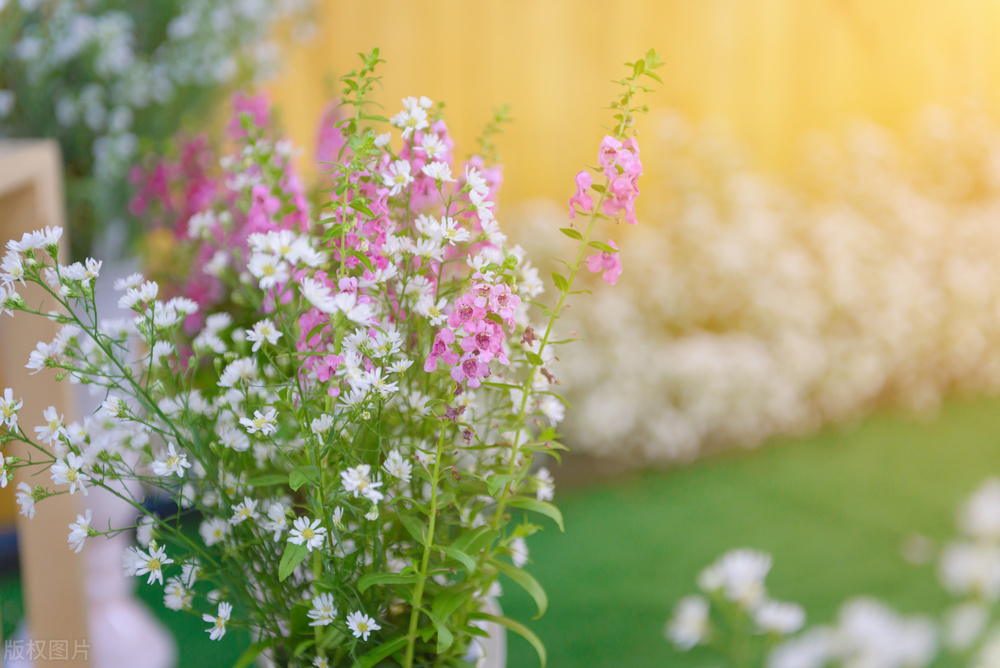 退休之后十件事千万不要再做了,退休了的人还继续工作是什么原因