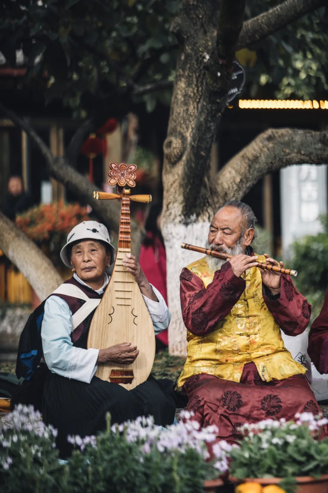 丽江一个来了就舍不得离开的地方,舍不得的丽江