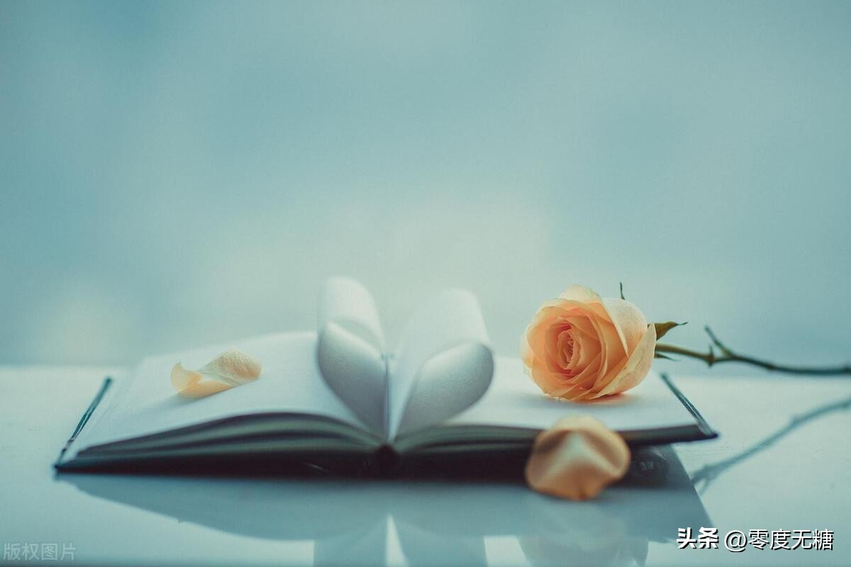 追不到的女孩是不是该放弃,一直追不到的女生可以放弃了吗