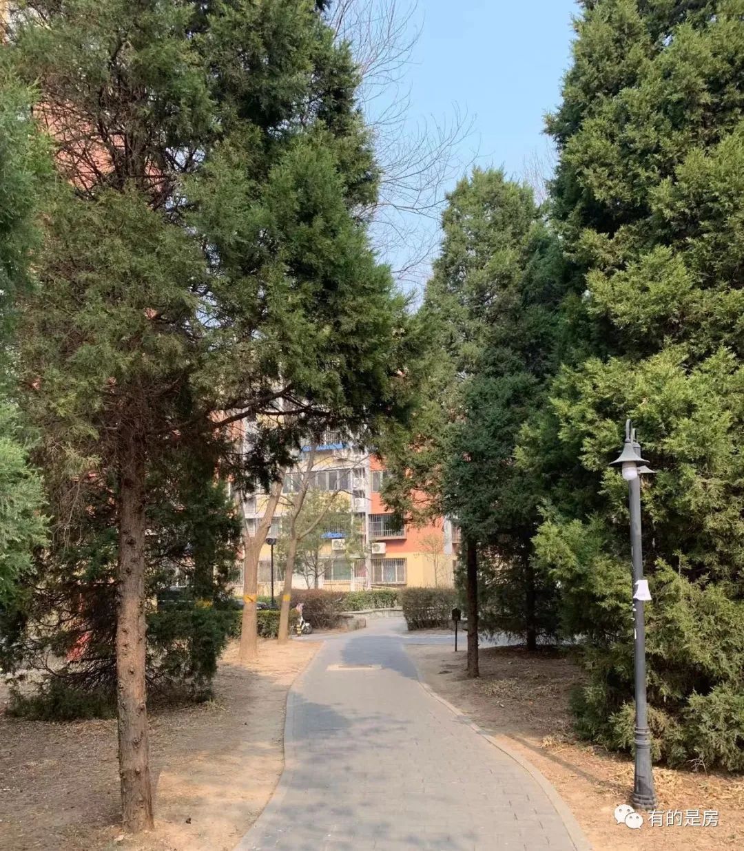 回龙观龙跃苑楼盘,回龙观龙跃苑房屋质量