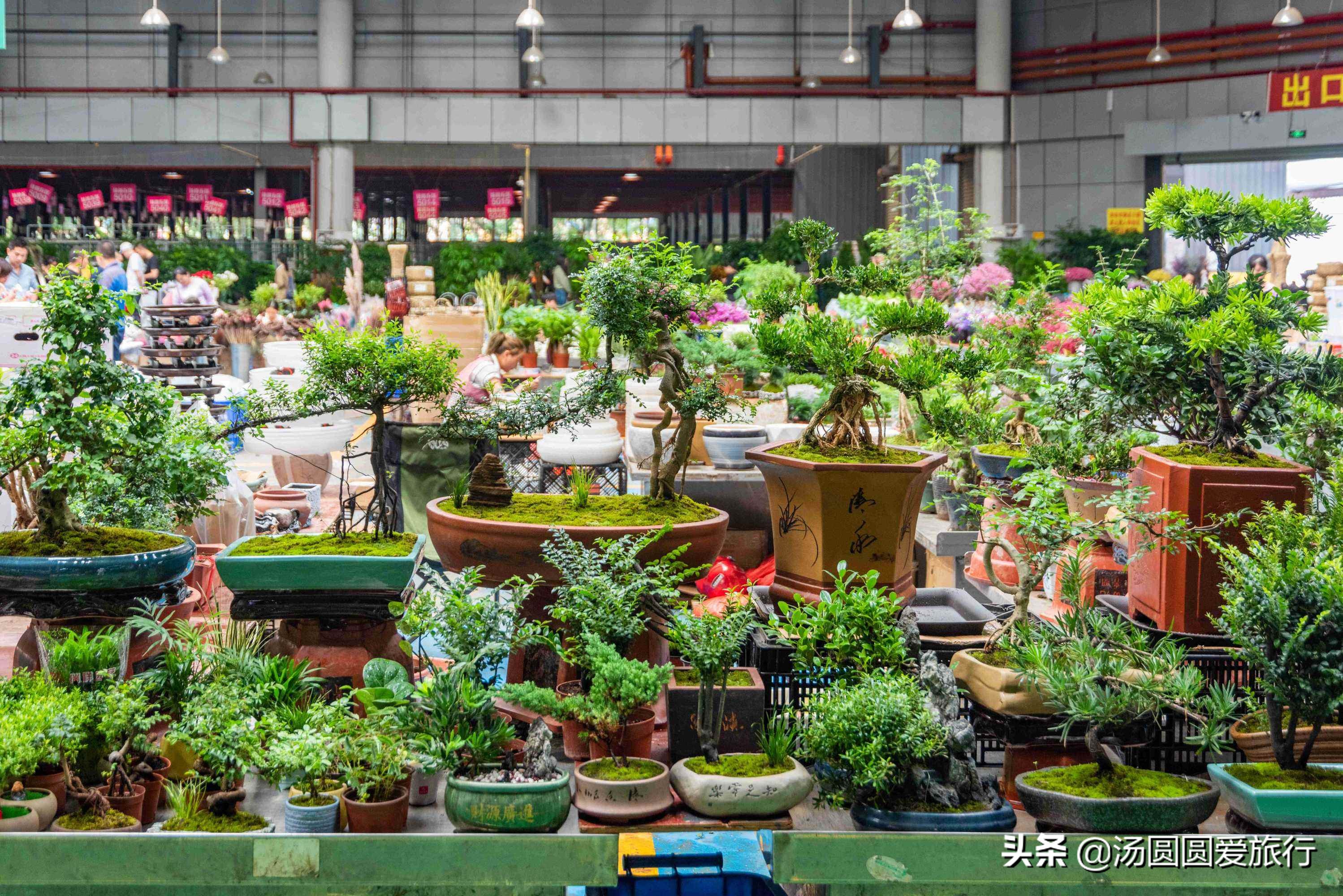 避暑胜地云南昆明,昆明春城避暑时间