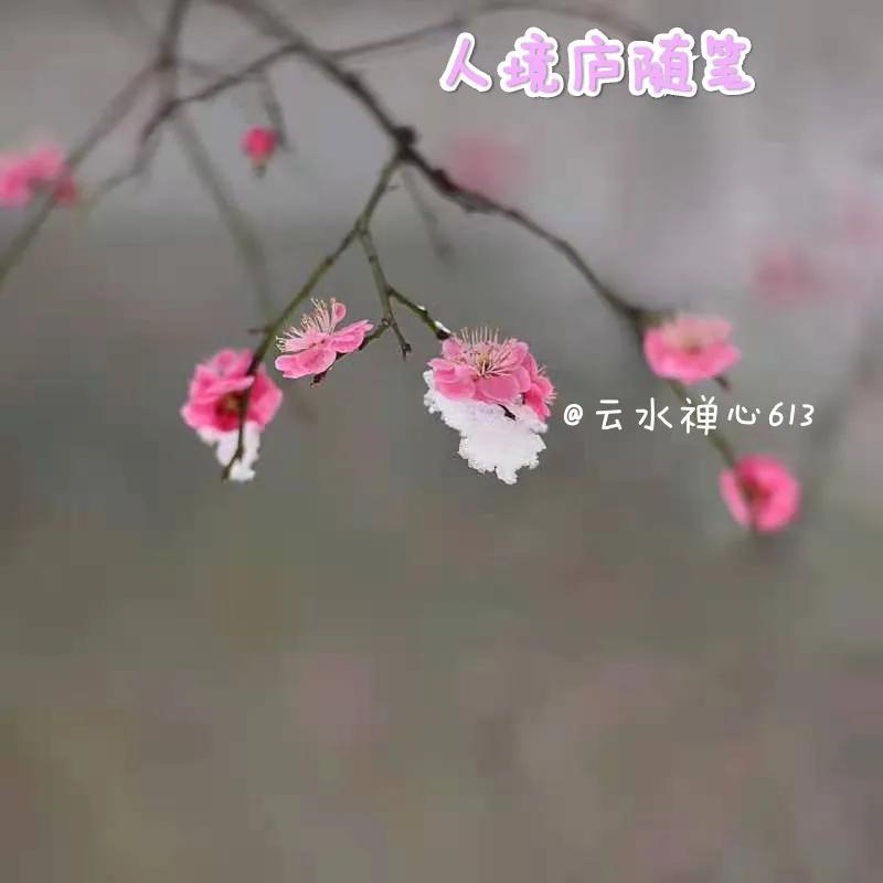 明妃二首其二王安石,王安石古诗十五翻译及原文