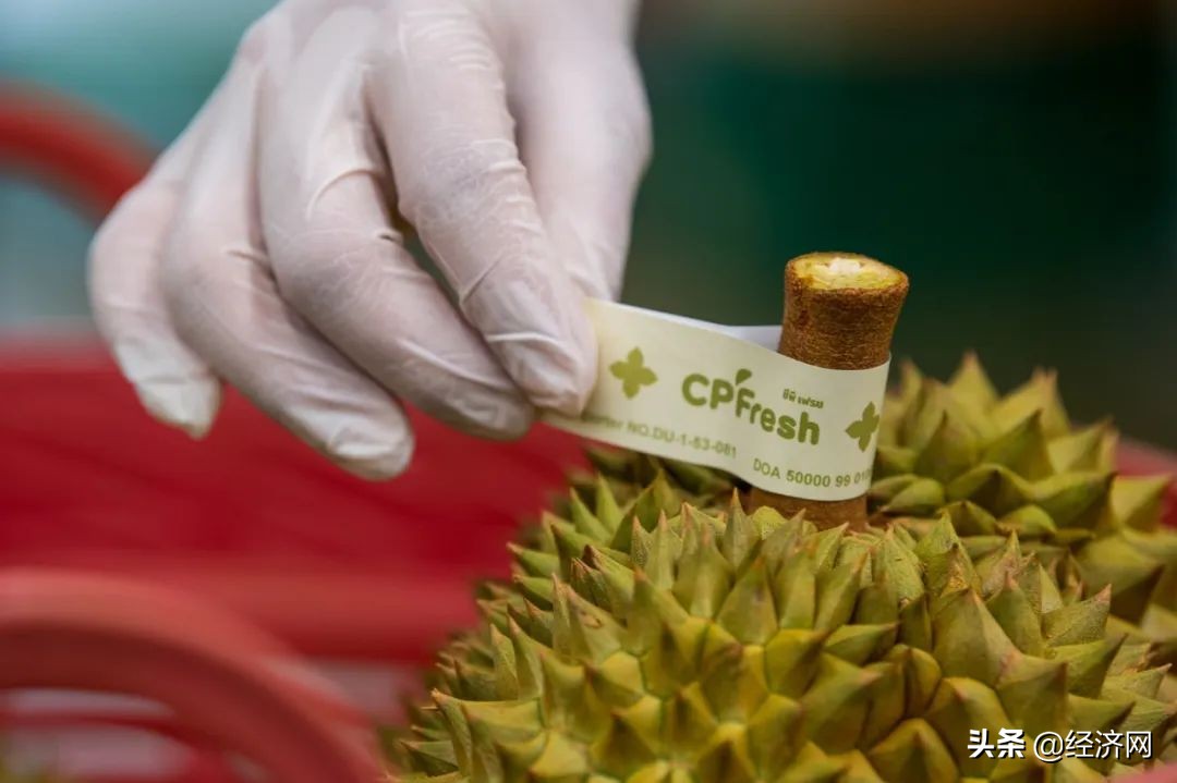 中国驻泰国大使与泰国对话,驻泰国中国大使