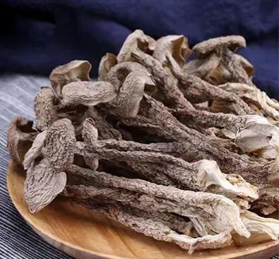 农村种蘑菇赚钱吗,河南农村种蘑菇一年能赚多少钱