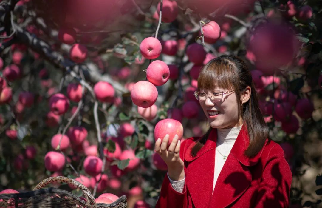 临朐县九山镇：“九”久为功“山”乡蝶变（朱林明）