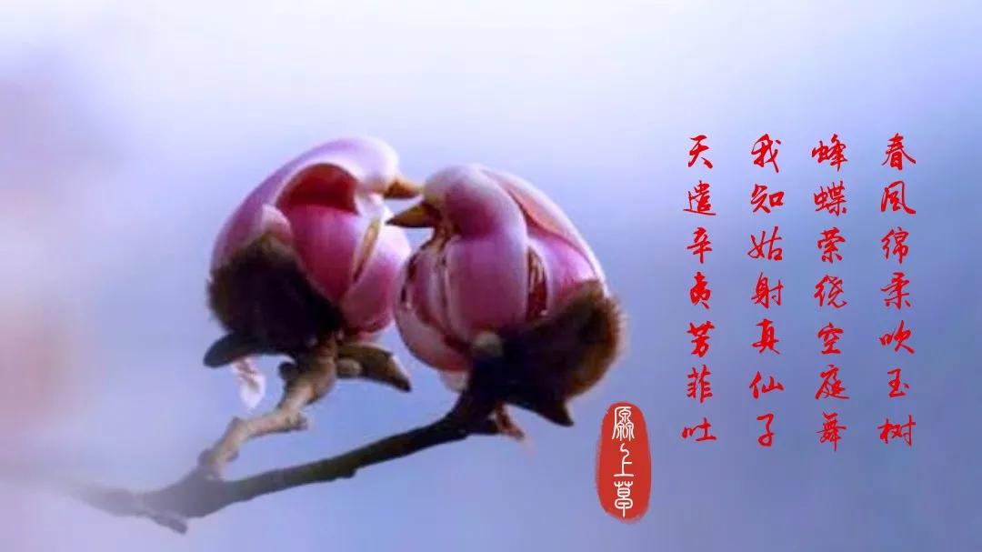 百花酿诗韵芬芳留人间（一）