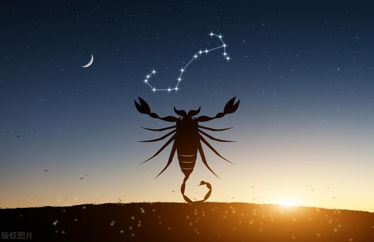 十二星座在职场上的表现,十二星座职场分析