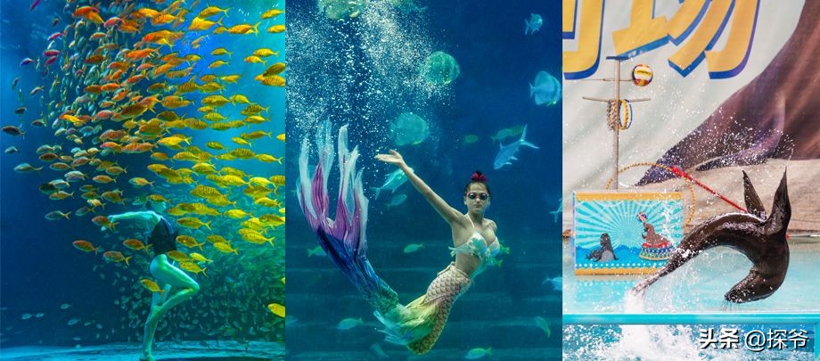 重庆尧泰汉海双园晚场6.30欢乐启幕,猪猪侠陪你潮过暑假