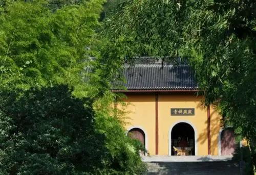 宜兴竹海拍照攻略,宜兴竹海氡泉温泉