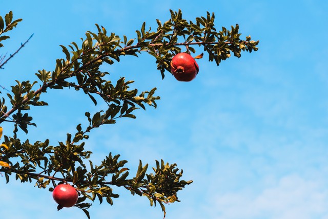 旺自己的18个小妙招,旺自己的40个小妙招