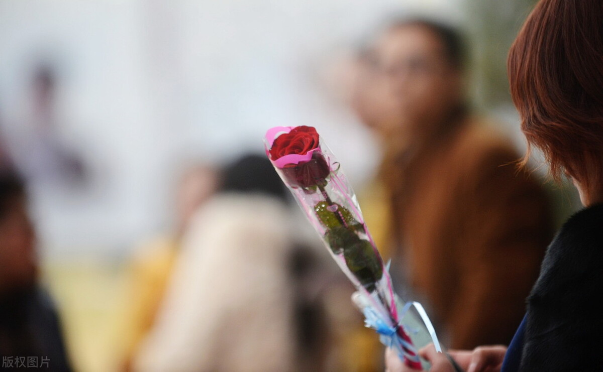 面对催婚最正确的方式是什么,一年一次的催婚又开始了