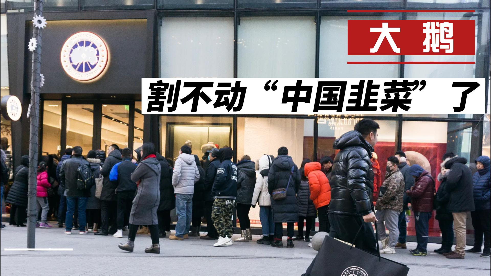 富人波司登，穷人穿大鹅？大鹅销量暴跌，韭菜割不动了