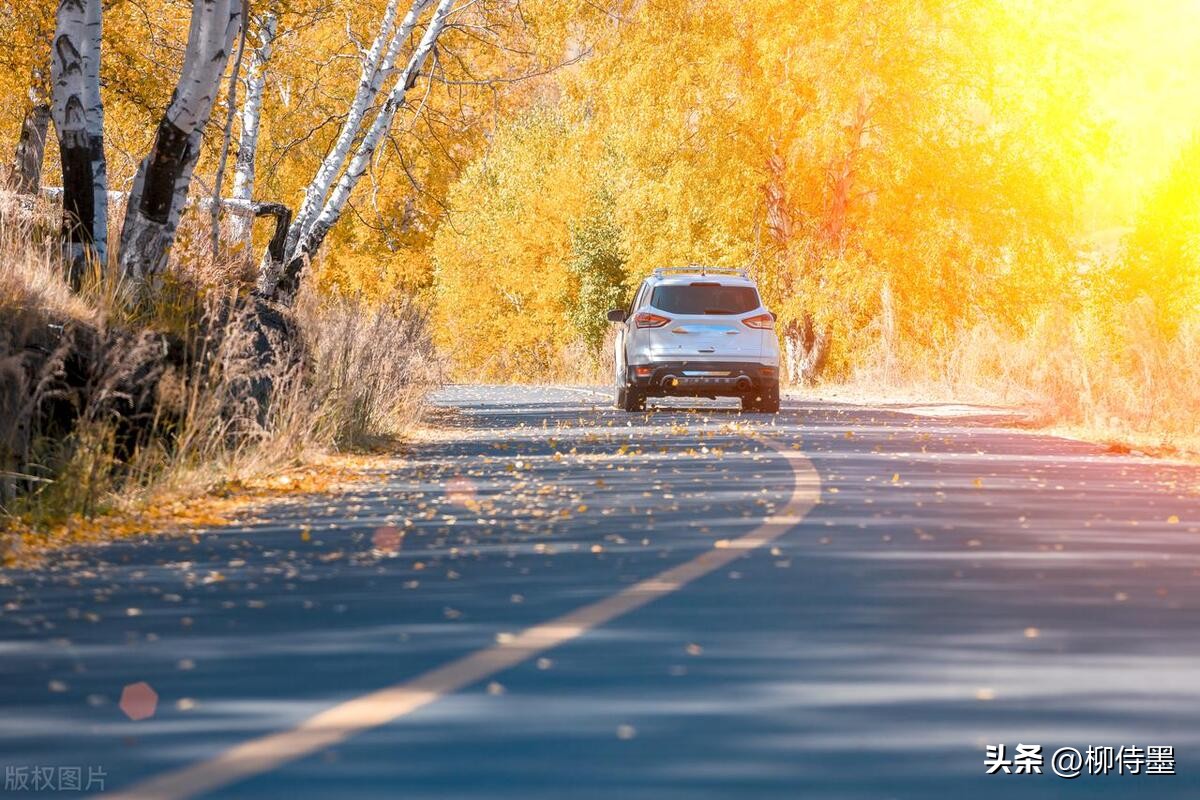 一个摄影技巧，提升拍照质量，照片好看十倍