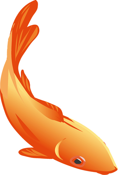 紫微城全部视频,紫微城