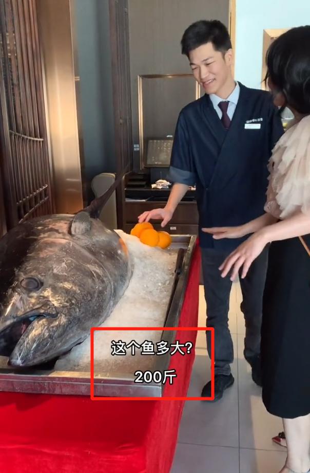 cici888跟赌王三太什么关系,cici888与赌王三太啥关系