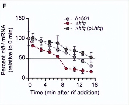 绿脓杆菌如何培养,绿脓杆菌做什么项目培养