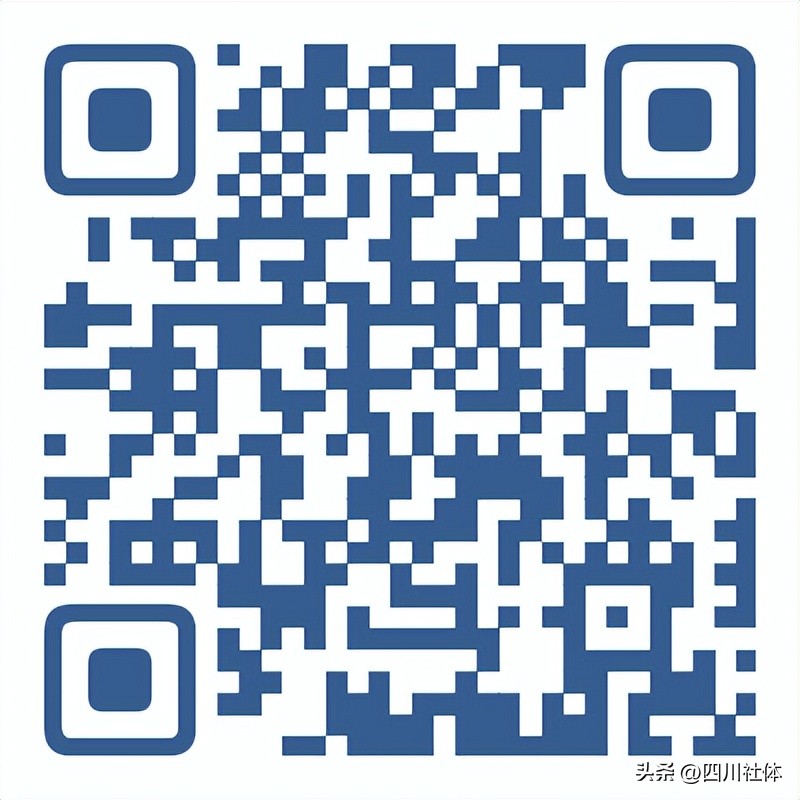 第三届川籍农民工运动会象棋比赛,第四届农民工运动会