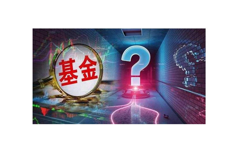 基金总金额和持有份额不一样,基金份额净值和基金负债的关系