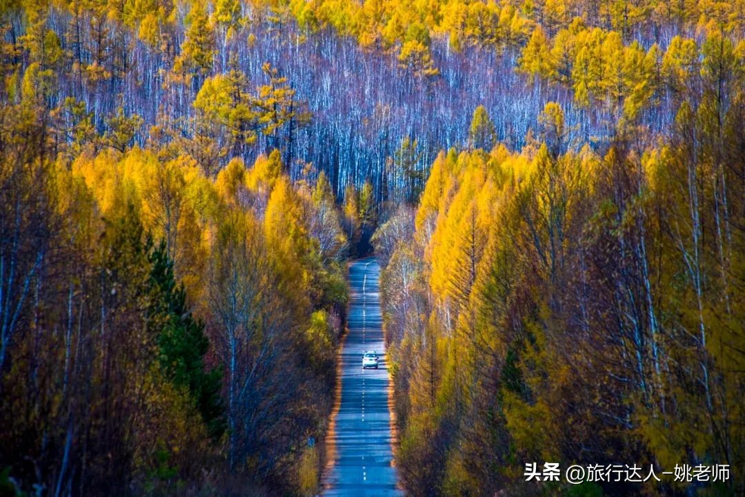 呼伦贝尔塞北草原旅行,呼伦贝尔金秋自驾游