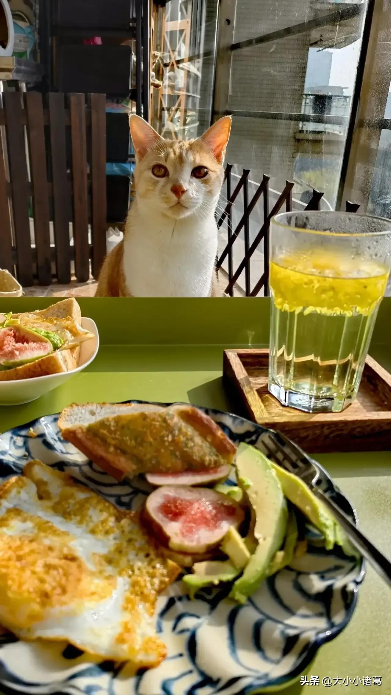 夸人怎么高情商回复,单纯简单地夸人学不会怎么夸人