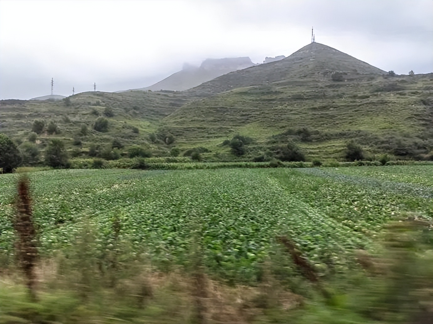 灏忓ぉ灞遍夯鐢板箔鏅尯浜戞捣,楹荤敯宀皬澶╁北璺ソ璧颁箞